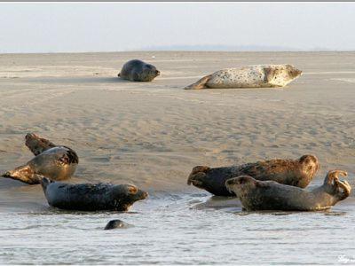 Gite De La Baie D'Authie Groffliers 외부 사진